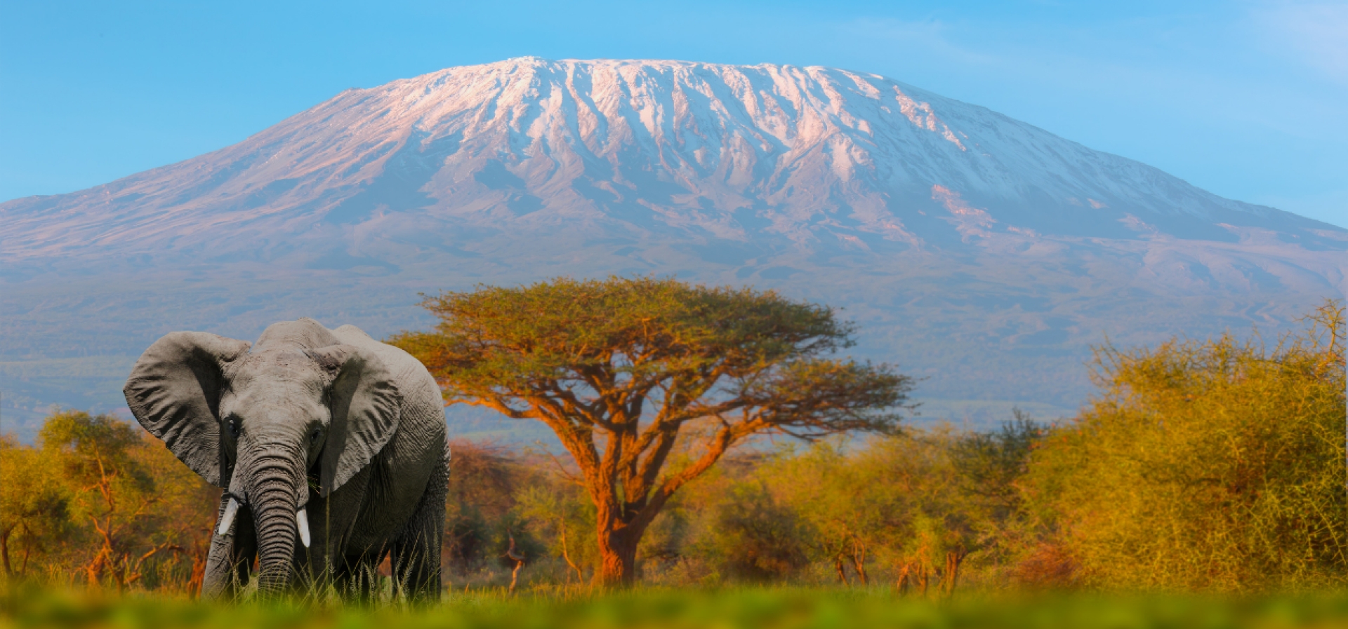 Monte Kilimanjaro